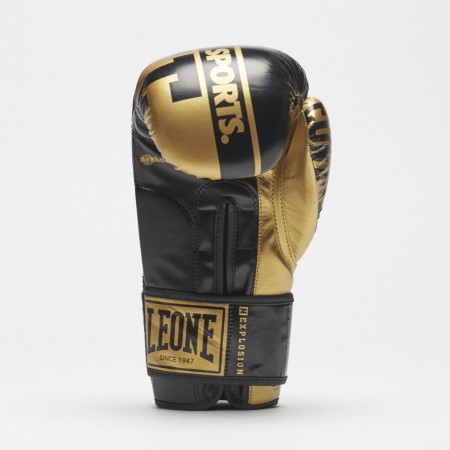 GUANTI BOXE NEXPLOSION LEONE